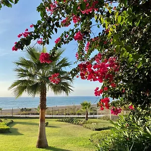 Sunshine Front Complex, Wifi, Modern Casares